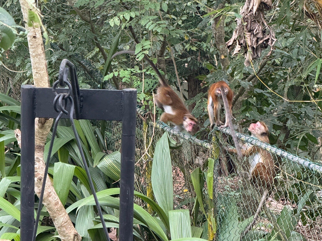 Kottawatta River Bank Resort主图