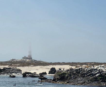 Cape Coast Expeditions-Yzerfontein必去景点