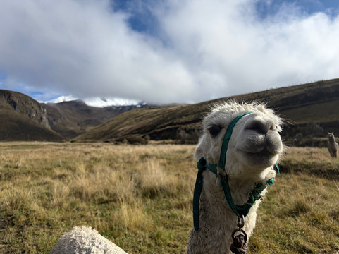 Adventure Peaks-安布赛德必去景点