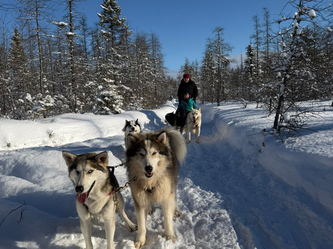 Passion Husky-李维斯必去景点