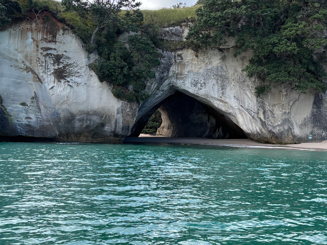 Ocean Leopard - Cathedral Cove Boat Tours-菲蒂昂格必去景点