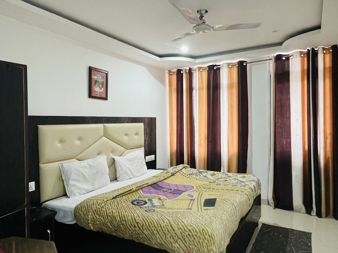 Hotel Anand Palace主图