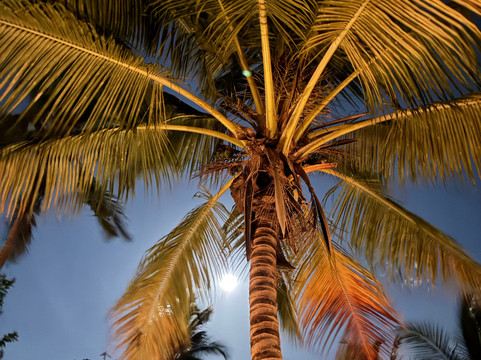 Pole Pole Bungalows主图