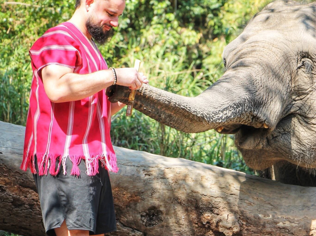 Chiangmai Elephant Sanctuary-清迈必去景点