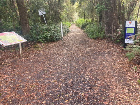 Hogarth Falls-斯特拉恩必去景点