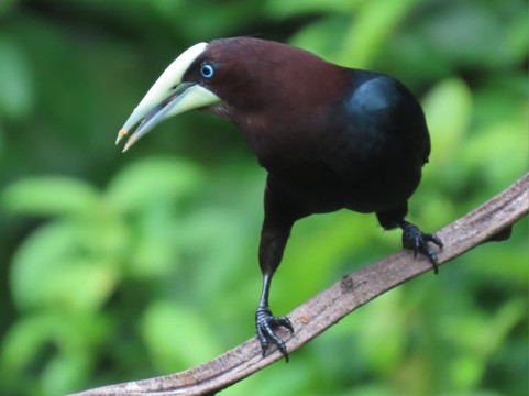 Nectar Pollen Reserve-瓜匹来斯必去景点