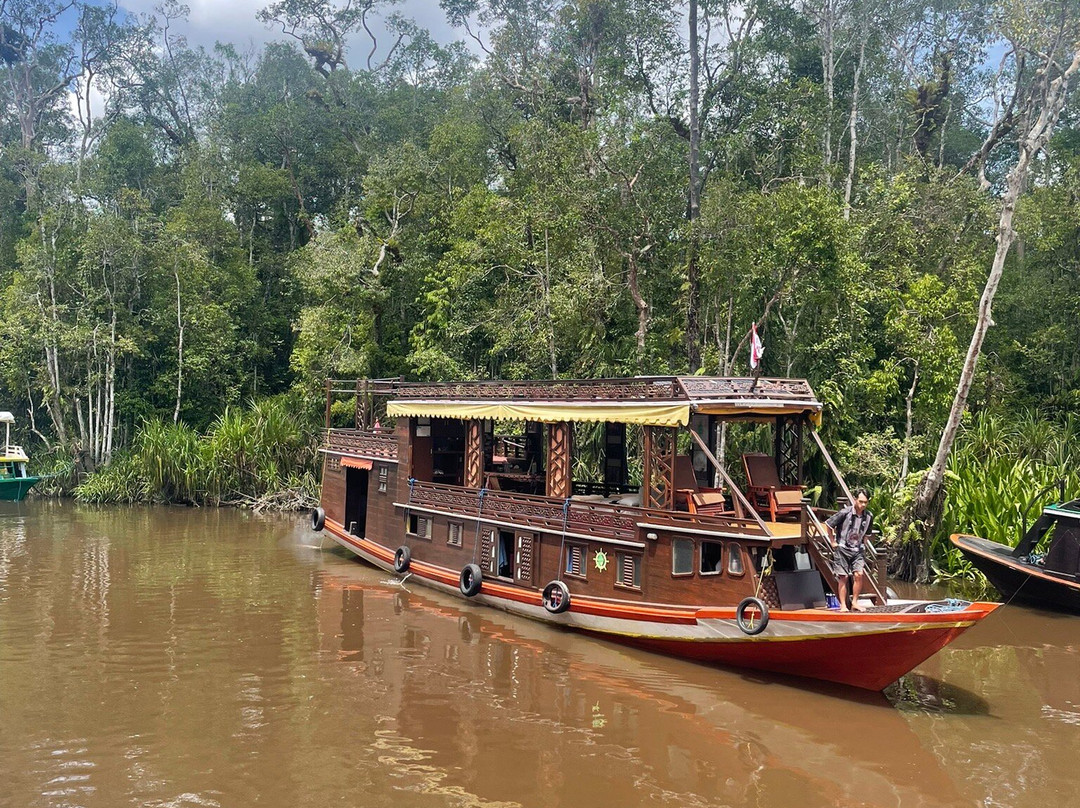 Orangutan Houseboat Tour-Kumai必去景点