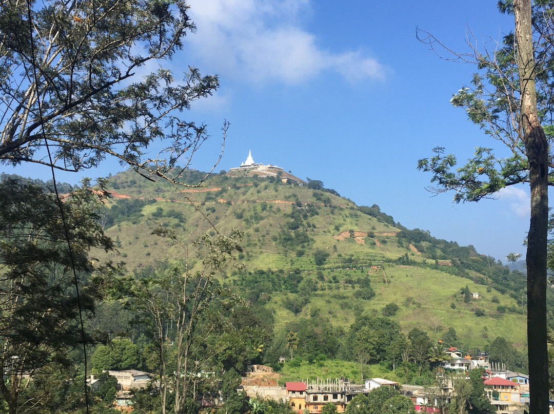 Luster Blue Tours-加勒必去景点