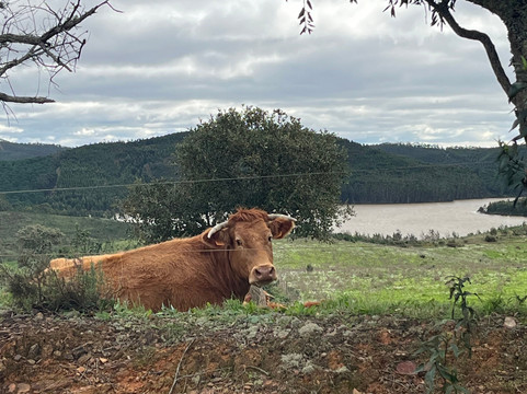 Portugal Nature Trails-辛特拉必去景点