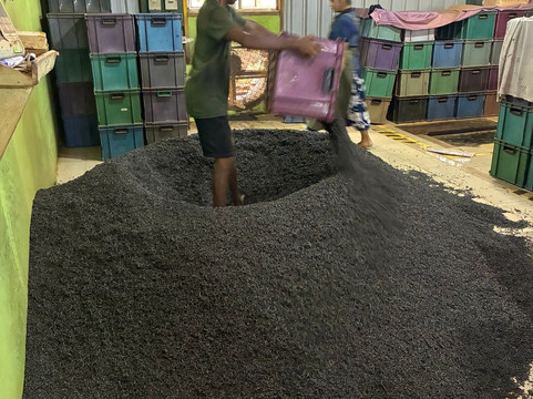 Nandana Tea Factory-Akuressa必去景点