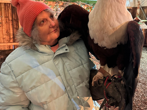 Millets Farm Falconry Centre-弗里福德希斯必去景点