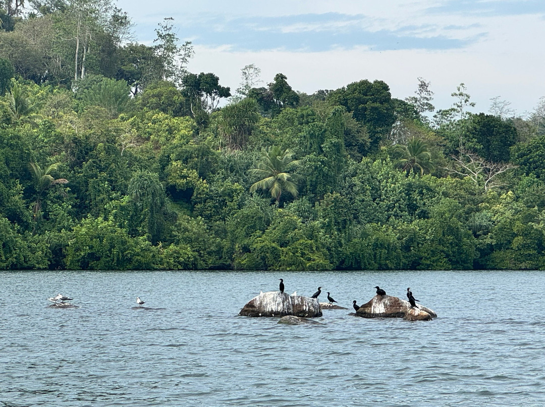 Hikkaduwa Lagoon Safari-Dodanduwa必去景点