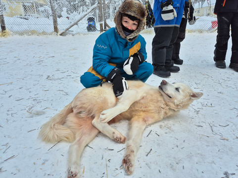 Blueberry Lodge Tours and Activities-Overkalix必去景点