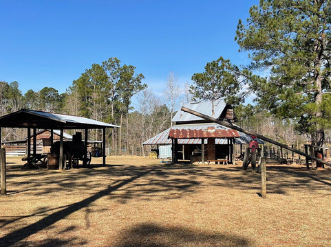 General Coffee State Park-Nicholls必去景点
