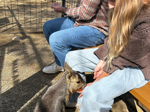 Wild Wonders, Inc.-Bonsall必去景点