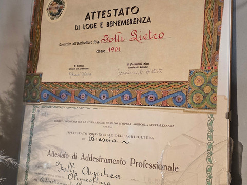 Podere Dei Folli-Polpenazze del Garda必去景点