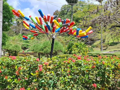 Plastic Bottle Tree-斯卡伯勒必去景点