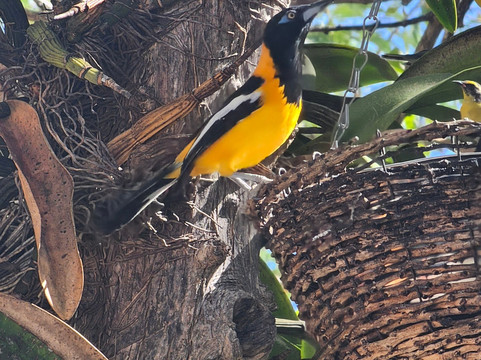 The Cadushy Distillery-Rincon必去景点