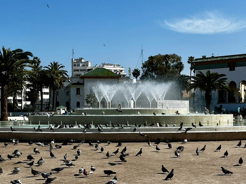 穆罕默德五世广场-卡萨布兰卡必去景点