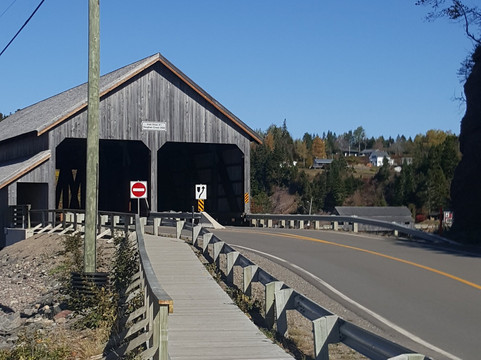 Octopus Ice Cream主图