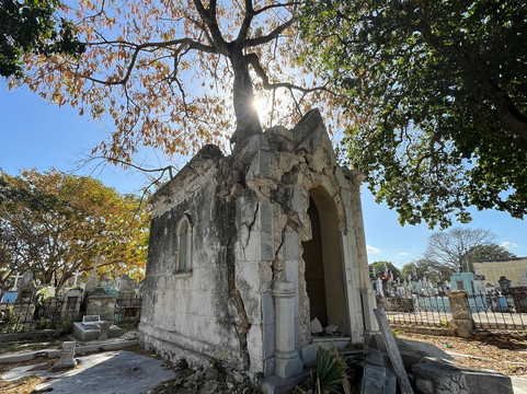 Lawson's Original Yucatan Excursions-Progreso必去景点