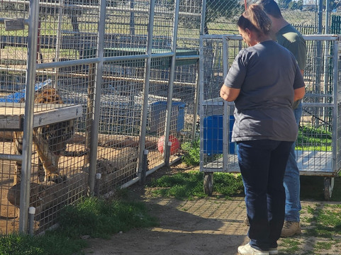 Forever Wild Exotic Animal Sanctuary-Phelan必去景点