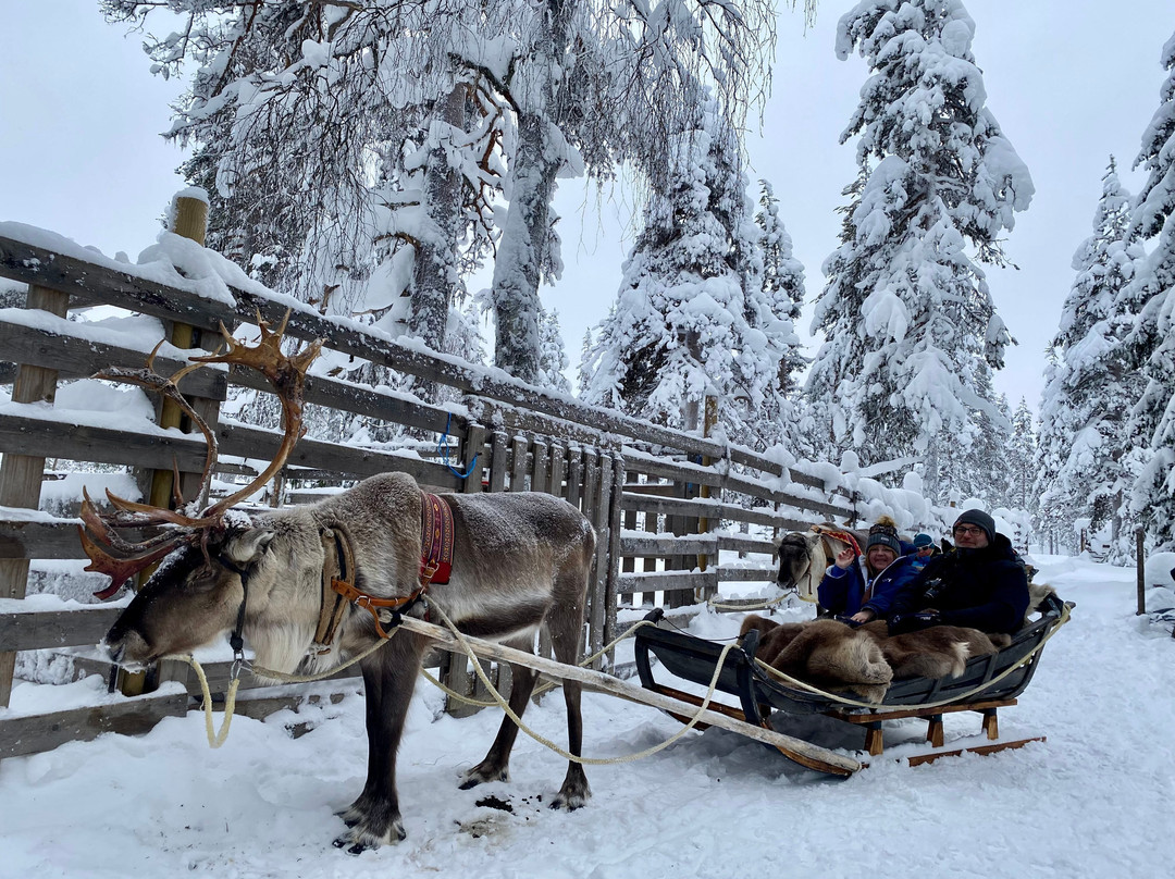 Lapland Safaris Yllas-Akaslompolo必去景点
