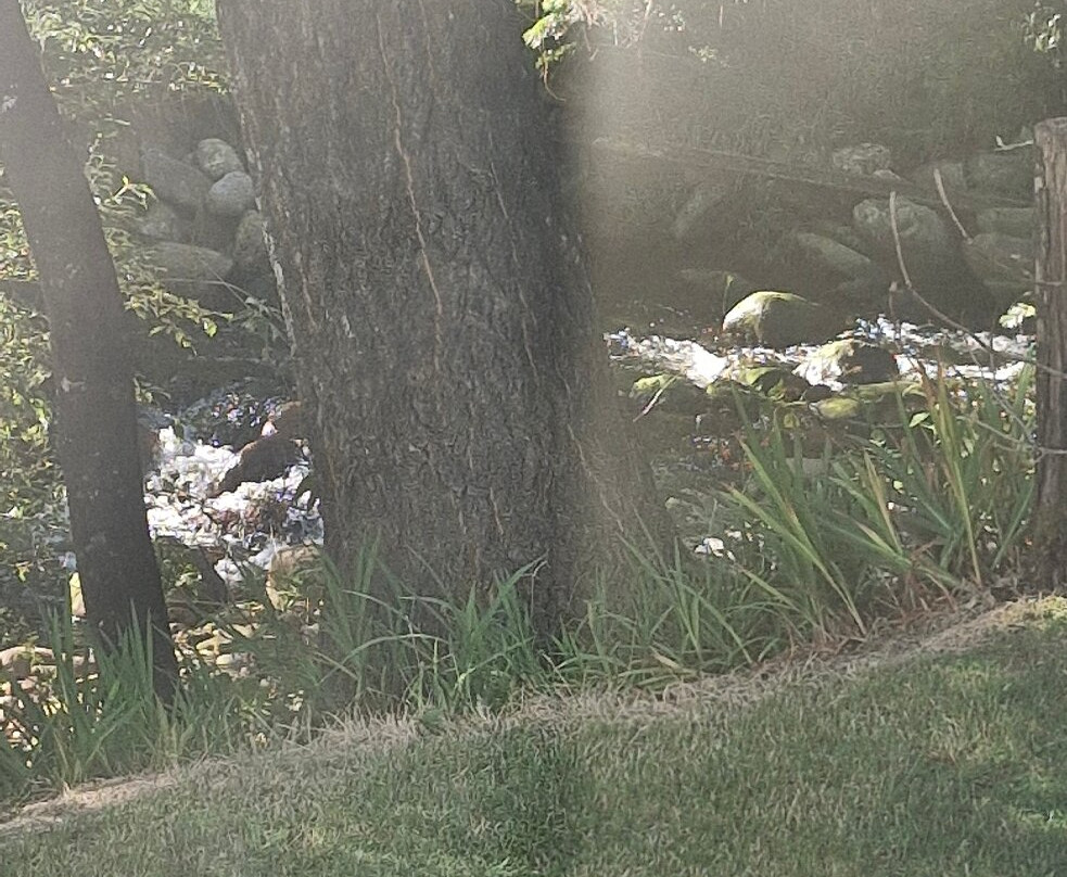 西岸人家旅馆主图