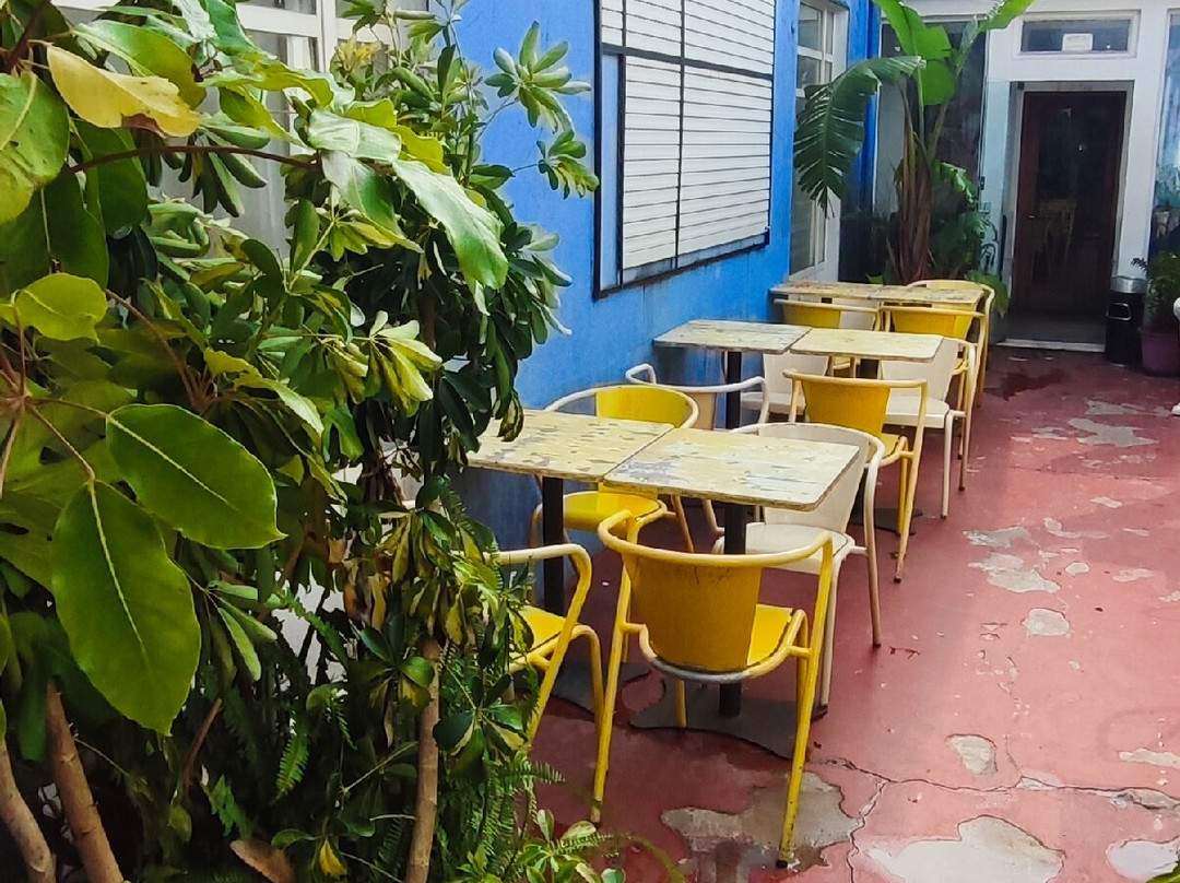 Maus Hábitos-波尔图必去景点