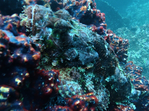 Galapagos Blue Evolution-Puerto Baquerizo Moreno必去景点
