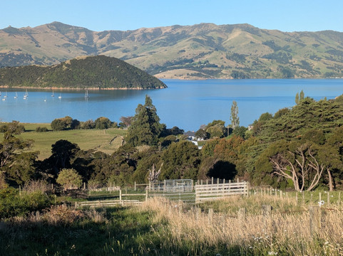 French Peak Vineyard-阿卡罗阿必去景点
