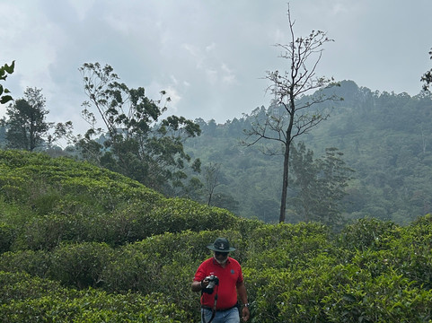 Travel With Asanka-康提必去景点