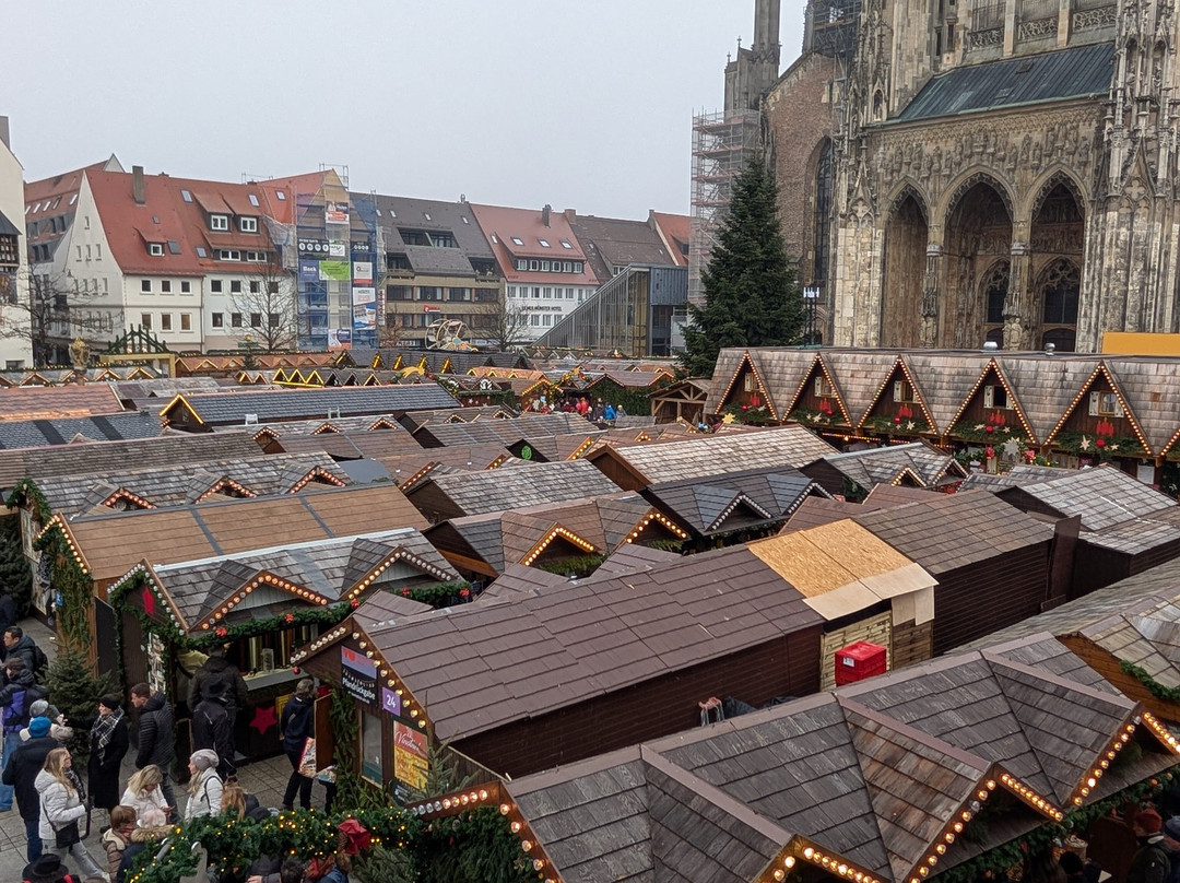 Stadthaus-乌尔姆必去景点