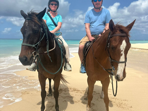 Five Gaits Equestrian Center-布里奇顿必去景点