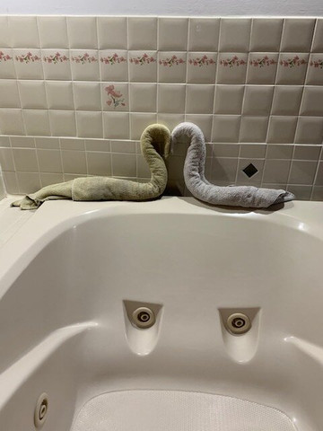 皂湖自然风光水疗度假村主图