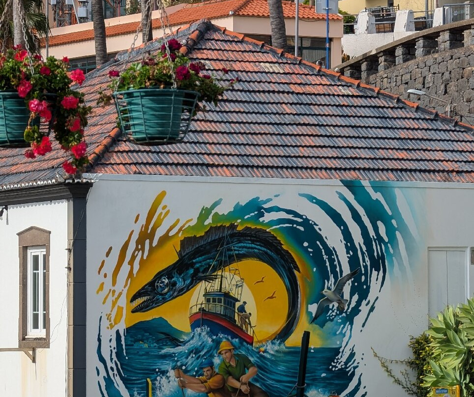 Baia de Camara de Lobos-Camara De Lobos必去景点