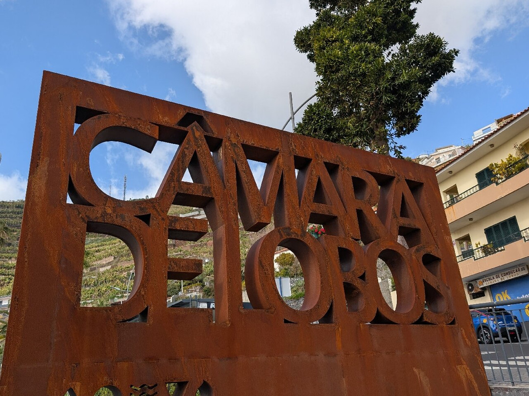 Baia de Camara de Lobos-Camara De Lobos必去景点