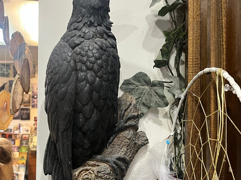 House of Ravenwood-Yellow Springs必去景点