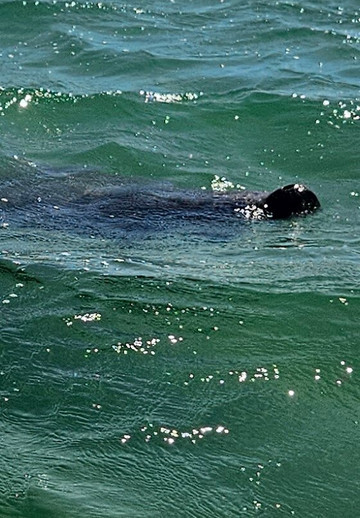 Blue Caribe-艾库玛尔必去景点