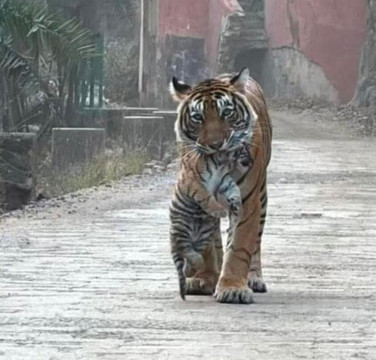 My Rajasthan Trip-斋蒲尔必去景点