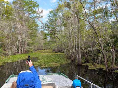 Beyond the Bayou-新奥尔良必去景点