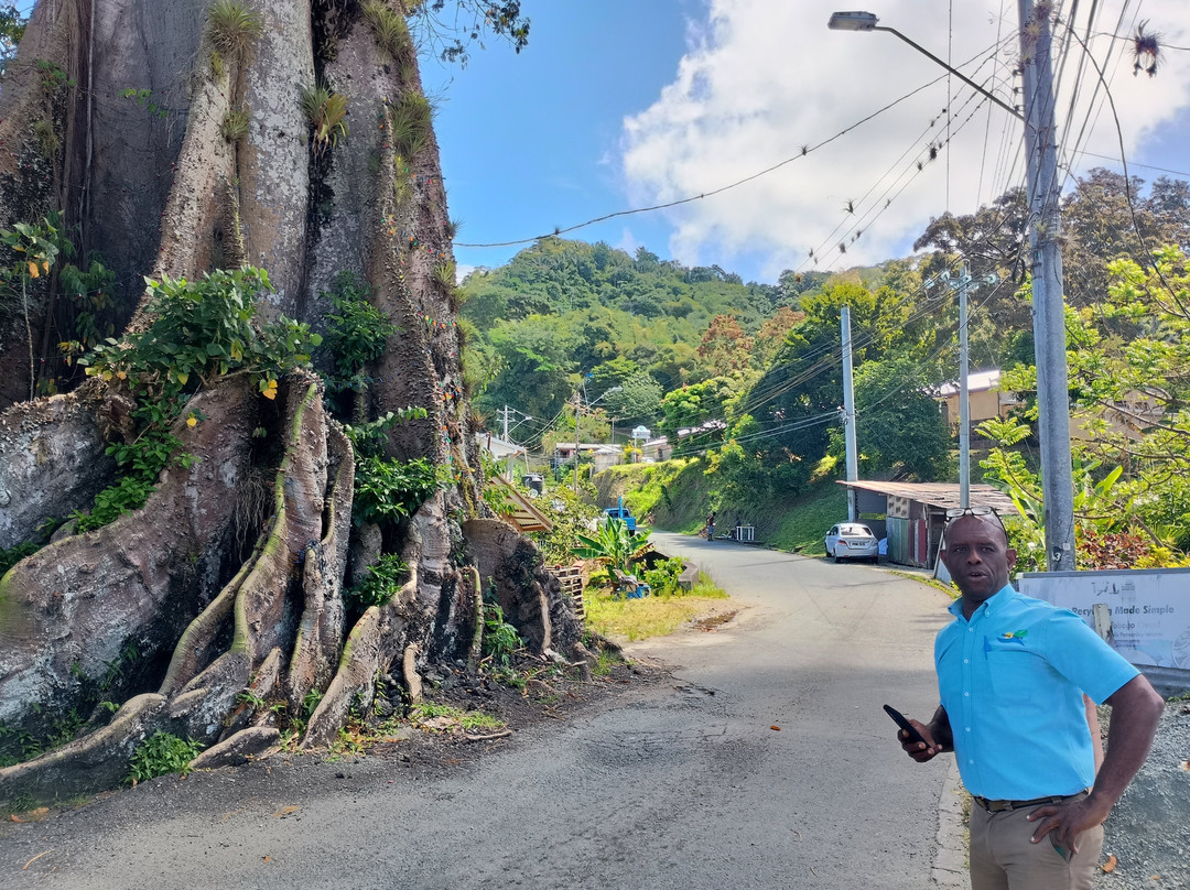 Hans Tours-斯卡伯勒必去景点