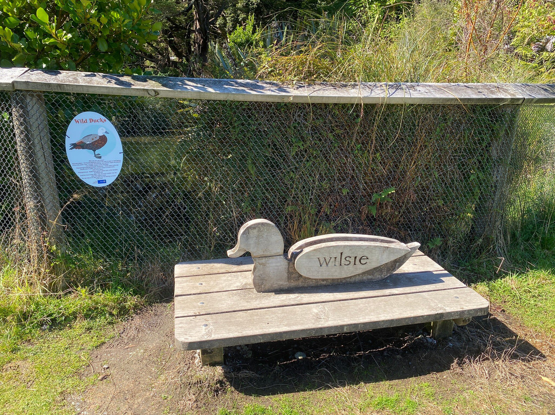 Te Anau Bird Sanctuary-蒂阿瑙必去景点