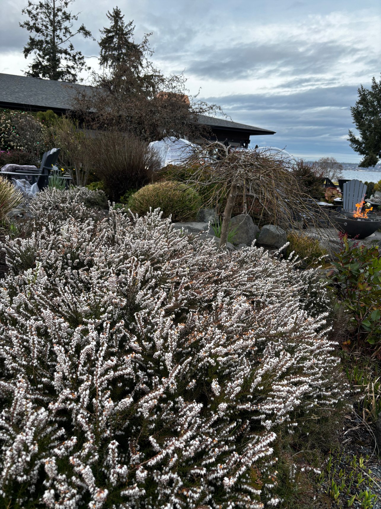 翠鸟太平洋度假村及水疗中心-官方