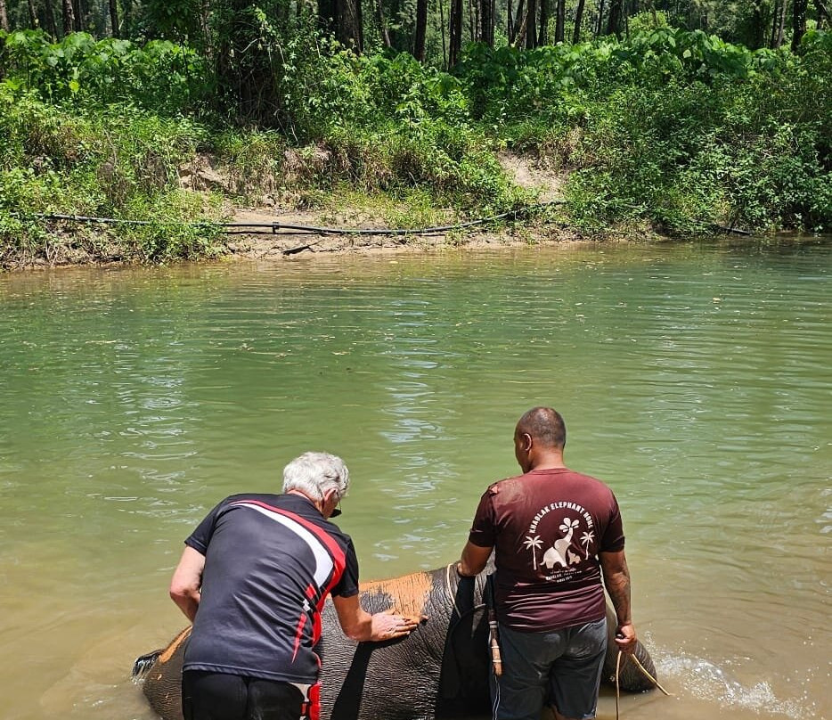 Khao Lak Elephant Home-拉克山必去景点