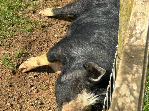 科茨沃尔德农场公园-Kineton必去景点