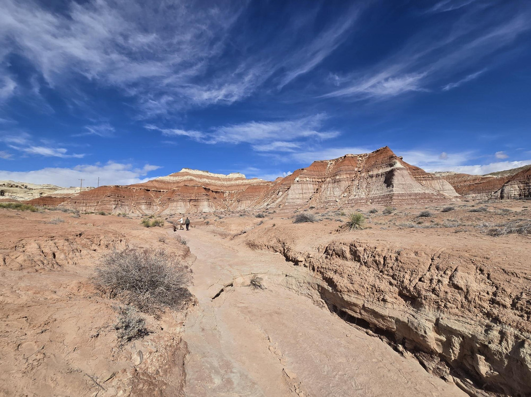The Toadstools-比格沃特必去景点