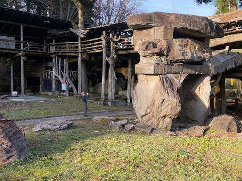 Takamori Tree House-高森町必去景点