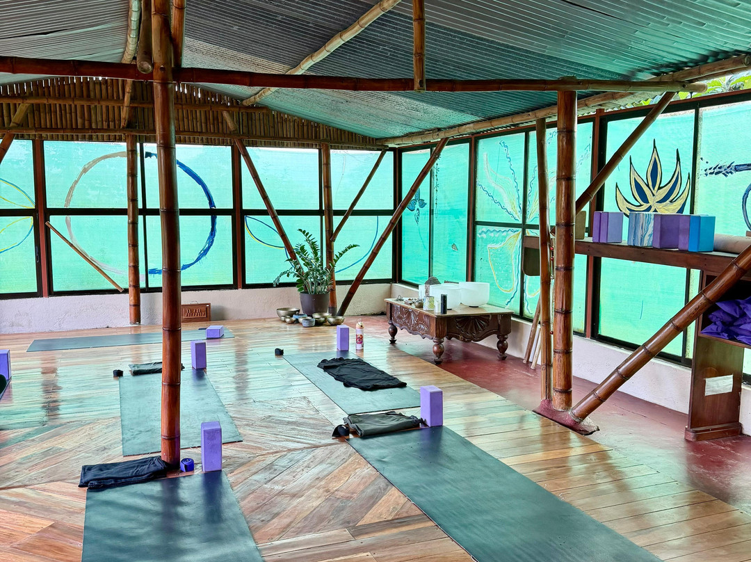 Essence Arenal Spa &瑜伽主图
