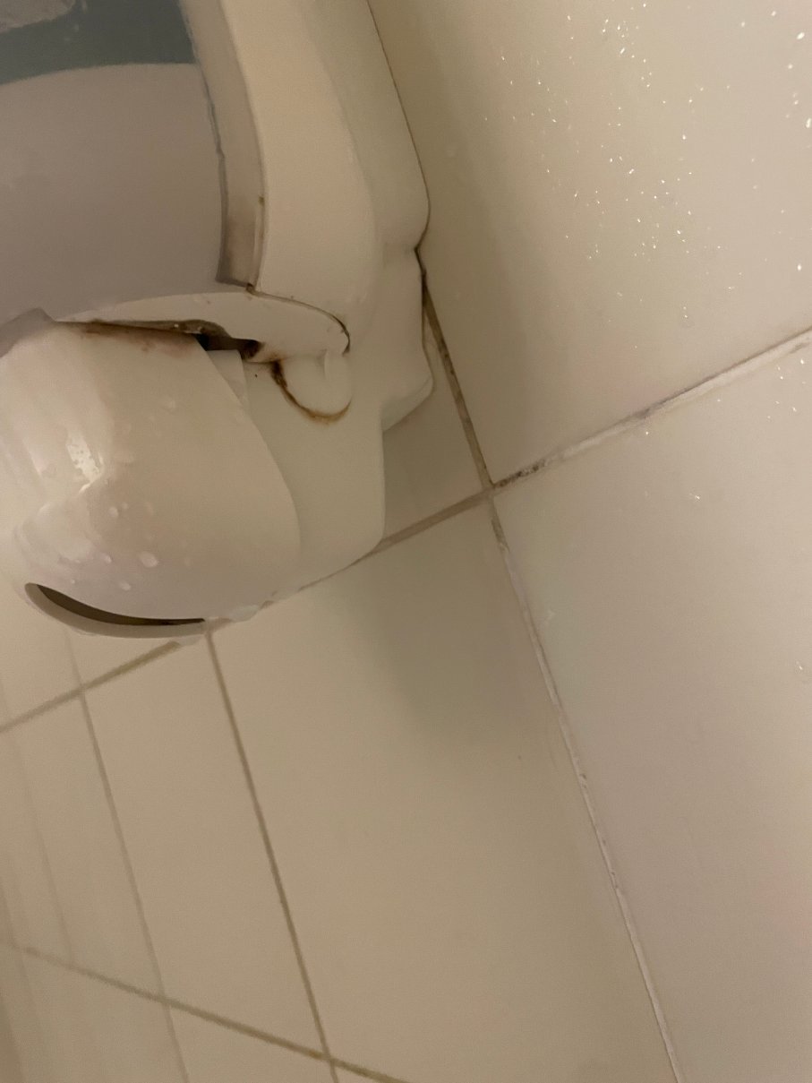 罗尔杜克修道院-官方